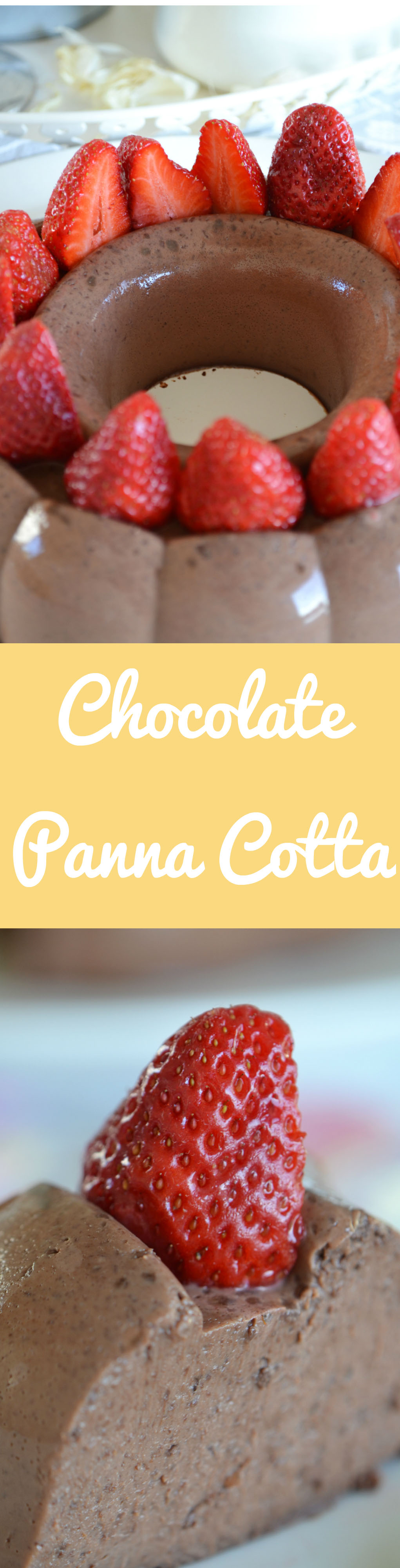 Rich Flavored Chocolate Panna Cotta