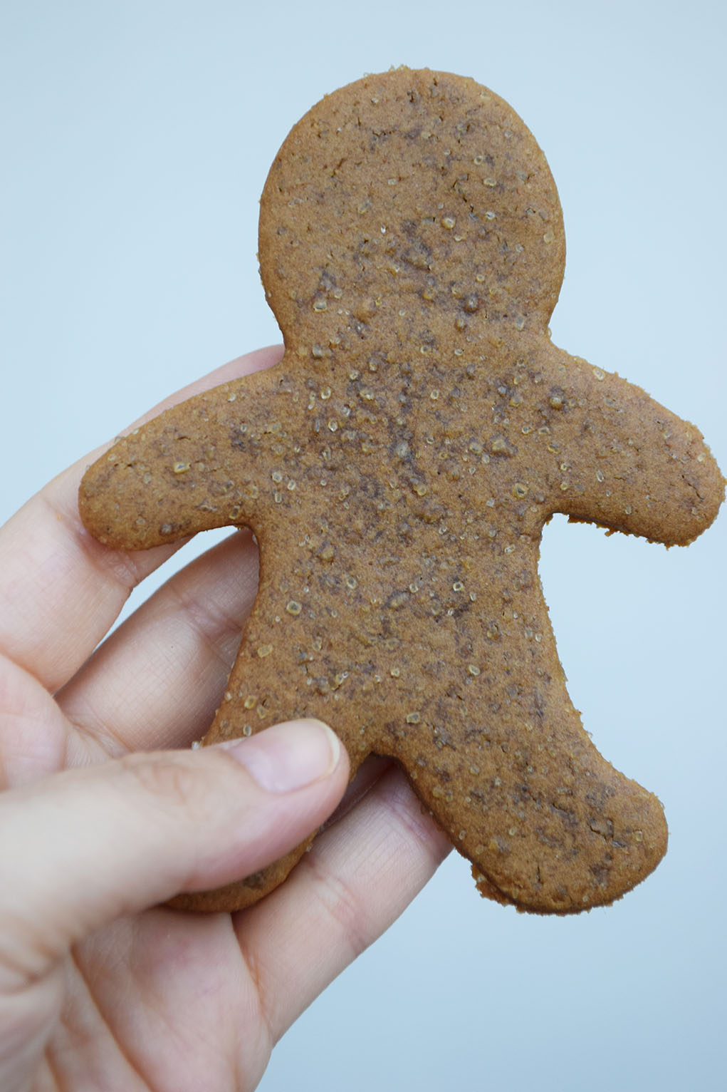 gingerbread cookies_0532